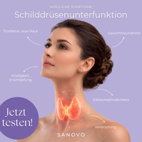 Schilddrüsentest (TSH)